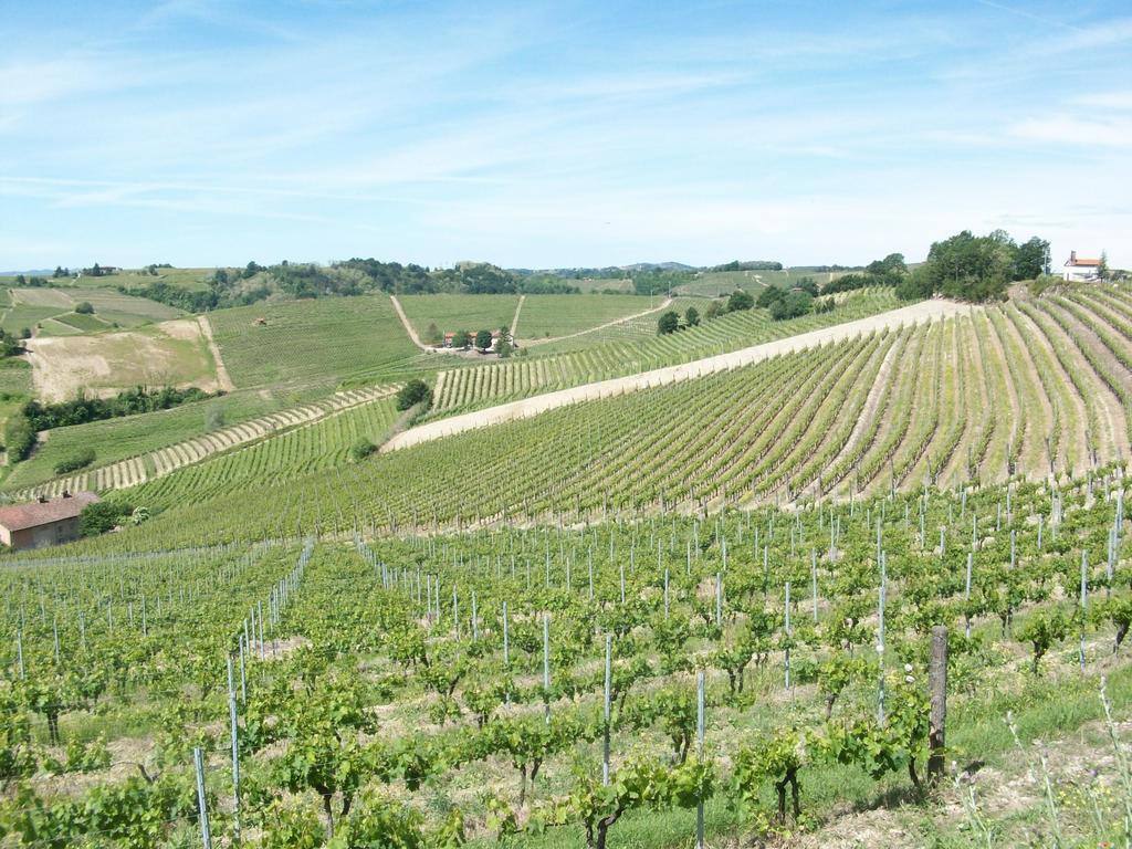 Cascina Valtignosa Camere Con Vigna Cassine Esterno foto